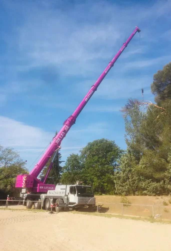 grue-levage-professionnel-cote-d-azur-hr-levage (5)