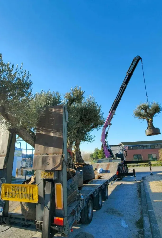 Location de mini-grue à La Penne-sur-Huveaune