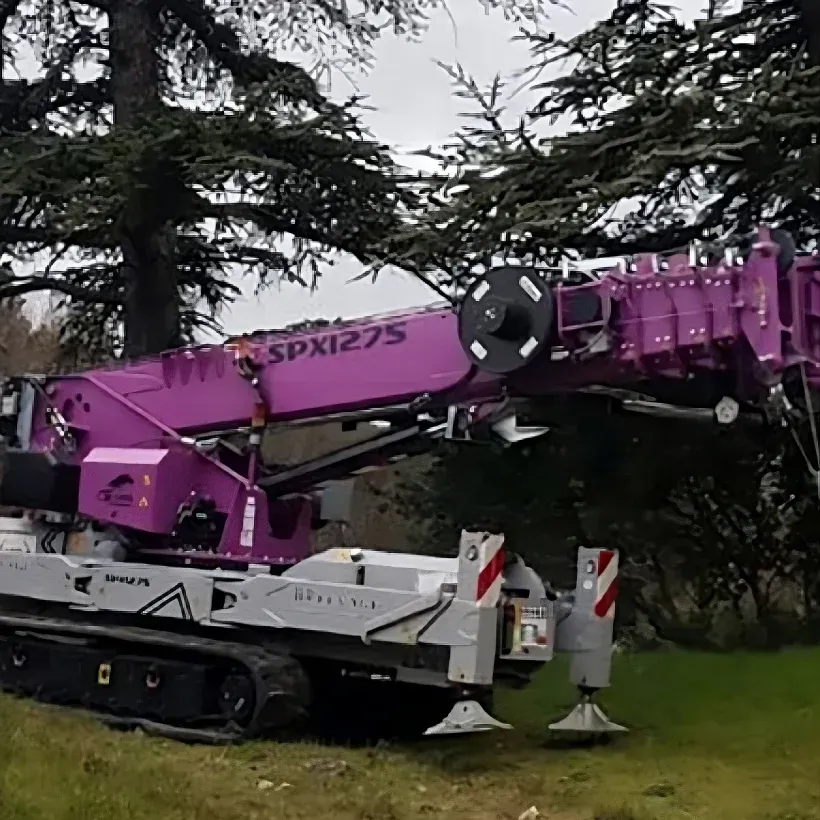 mini-grue-levage-compact-cote-d-azur-hr-levage (1)